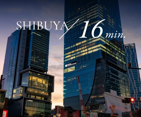 SHIBUYA 16min
